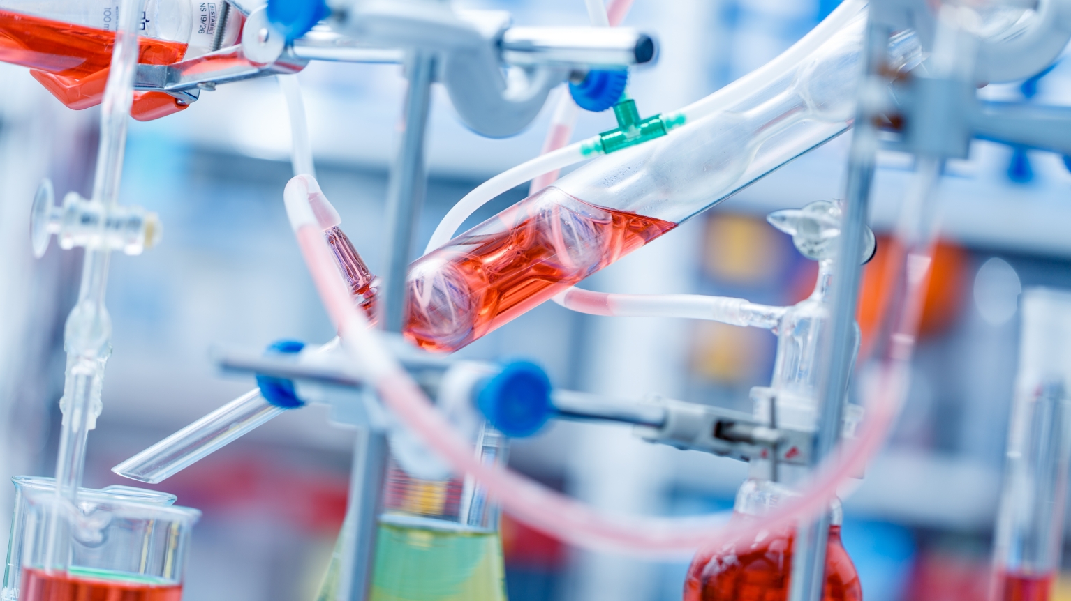 Undergraduate Chemical Engineering Degree Department Of Chemical And Undergraduate Chemical Engineering Degree Department Of Chemical And