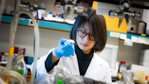 Asian young woman with black hair and glasses, wearing a white lab coat and blue gloves working in a lab.