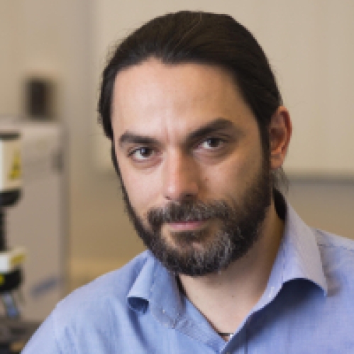 headshot of male with dark hair and dark beard wearing a blue button down shirt