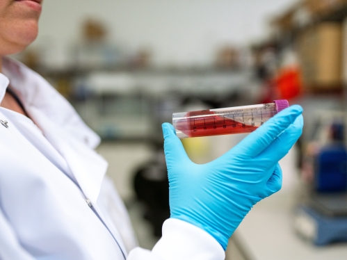 Chemical engineer working in lab