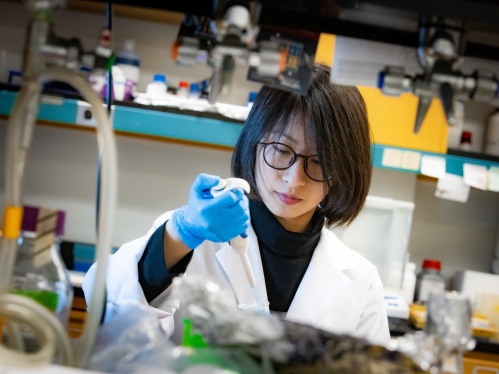 Asian young woman with black hair and glasses, wearing a white lab coat and blue gloves working in a lab.