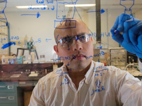 male student in lab wearing goggles and a collared shirt writing formulas on glass