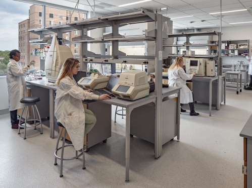 A laboratory setting of three lab bays with students at work all wearing white lab coats.